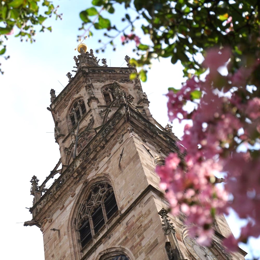 torre del Duomo di Bolzano con fiori in primavera