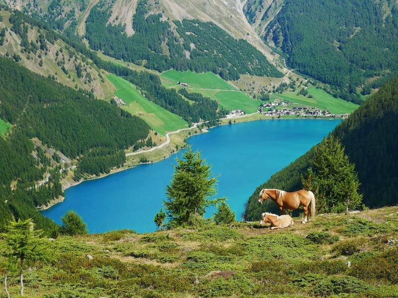 foto del lago di vernago, visto da una delle montagne circostanti, con cavalli